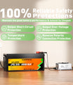 NOEIFEVO 29,2V 10A vanntett LiFePO4-batterilader for 25,6V(24V) 8S LiFePO4-batteri